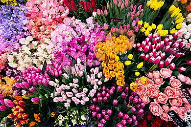 《英雄不再 3》现已在多平台发售！一并举行超值的“发售纪念促销”